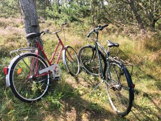 Simple Living In The 70S Summer House At Skiveren - 8