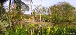 Diksha Home Stay - 6