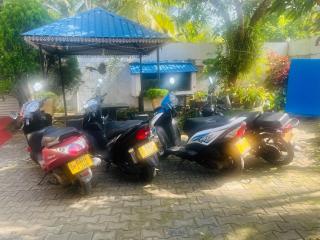 Dream Forest Rest - 6