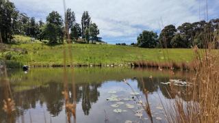 Flowerpot Cottage Hideaway - 3