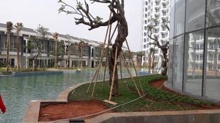 Apartment Puri Mansion 1BR, 7th floor, Facing to North - 1