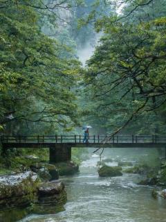 Zhangjiajie Zhenxi Hotel - 8