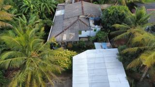 Green Bird - Mirissa - 6