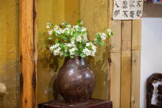 Alley's Ears Turned Red - 0