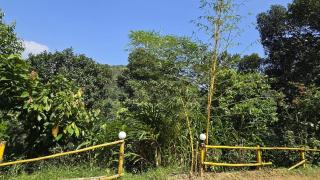 Idam Homestay - Entire 3 Bedroom Holiday Home - 7