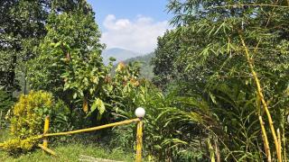 Idam Homestay - Entire 3 Bedroom Holiday Home - 8