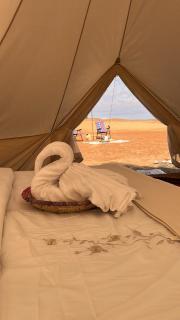 Quiet Nights Camp - 7