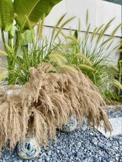 T-homestay Bình minh xanh - 9