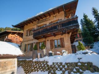 Chalet in Hochfügen near Ski Slopes - 1