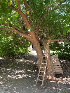 Casa cercana a la playa - 6