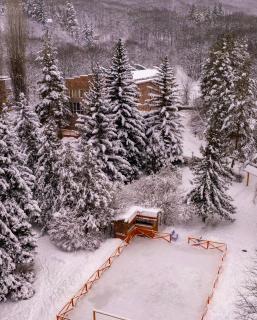 Park Resort Aghveran - 9