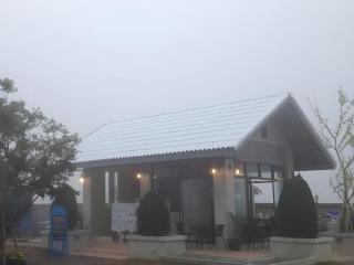 So Herbs at Home - 3