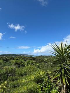 Container Suite 75 - 5