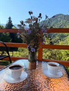 Sakartvelo Soul - Borjomi - 7