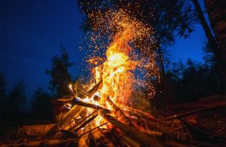 amã Stays & Trails - Wentworth Estate Villa, Tamilnadu - 0