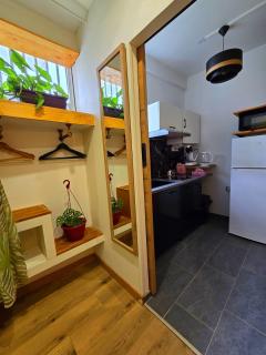 Appartement Belsol Ambiance tropicale et détente - 4