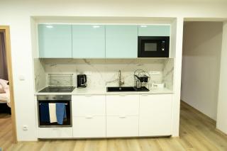 Apartments Kolín II & Penzion Navara - 5