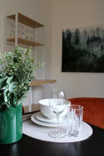 GlückAufBud Schwarzenberg WLAN Netflix Stellplatz - 2