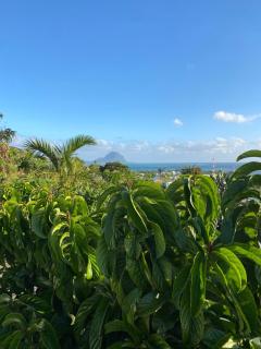 La Croix du Sud appartment - 6