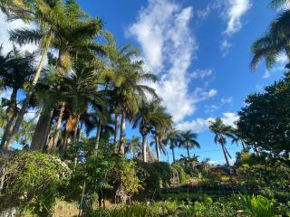 La Croix du Sud appartment - 7