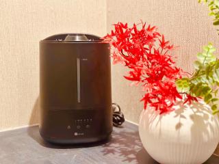 楓の宿 2号館 - 9