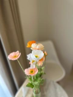 SEIHA UMEDA by SpringRest - 2