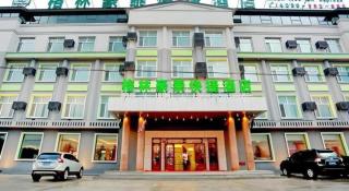 GreenTree Inn Yichun Qingshan Street Express Hotel - Jiamusi - 8