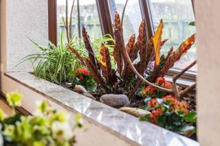 Ferienhaus Hebborn - 6