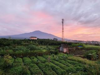 Vila Keluarga 3 Kamar dengan Kolam Air Panas Dekat Jatim Park 4 Baloga - 2