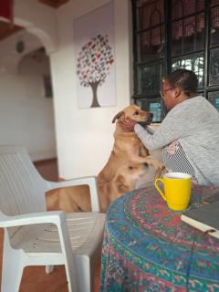 Indovu Wellness Retreat - 8