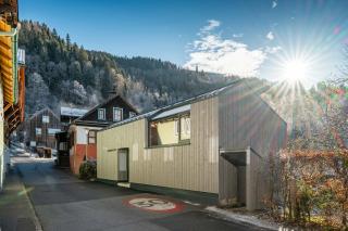 Panorama 198 - Schladming Tiny House - by myNests - 7