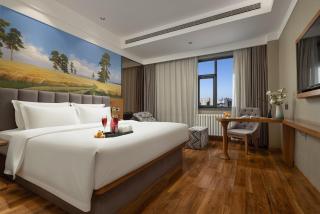 True Go Hotel Beijing New International Exhibition Center Capital Airport - 2