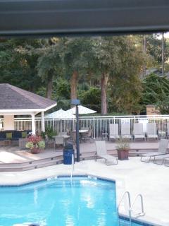 Palmera Inn and Suites - Hilton Head Island - 8