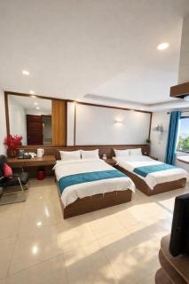 Phương Anh Villa Pro - 4