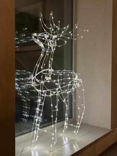 Tregrylls Barton - 1