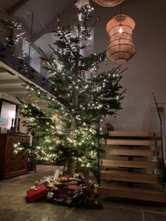 Tregrylls Barton - 4