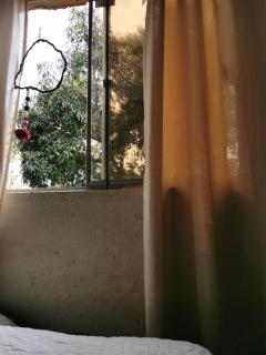 Casa da Árvore na vila de Patrimônio da Penha - 5