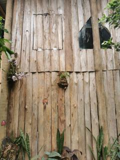 Casa da Árvore na vila de Patrimônio da Penha - 1