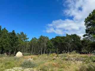 Nordic Summer House In Ålbæk With Spa And Sauna - 5