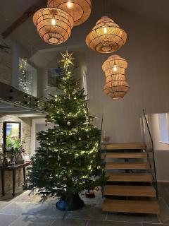 Tregrylls Barton - 9