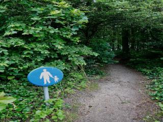 Comfortable holiday home in Noordwijkerhout near the sea - 3