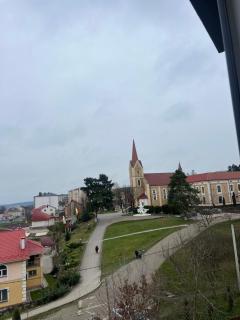 Апартаменти просторі 2 кімнати на Монастирський - 1