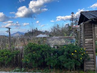 Lung Chung Doi Sapa - Homestay & Chill Coffee Garden - 1