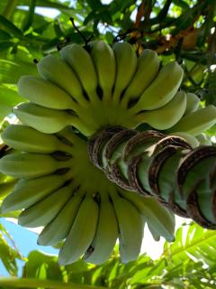 The Palms Ocean views - 4