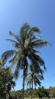 Tropical Thai style 4 bedroom pool villa - 4