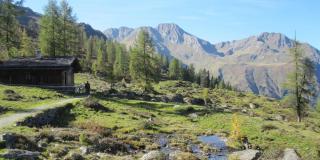 Haus Schwarzhans - 5