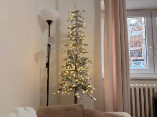 Black and Ginger Residence - 6