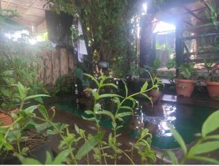 Rugo Haus-Kinigi - 4