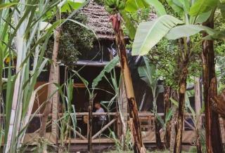 Jangwani Riverview Suits - 3