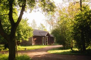 Glamping belltent in het groen - 5